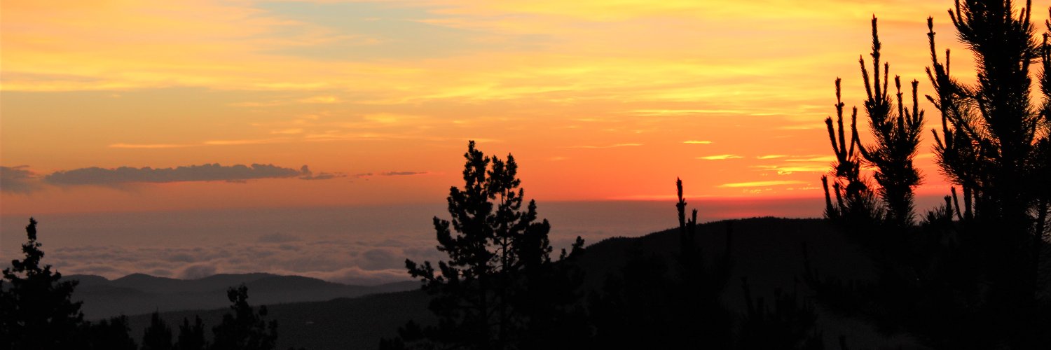 MandCComms's profile banner image