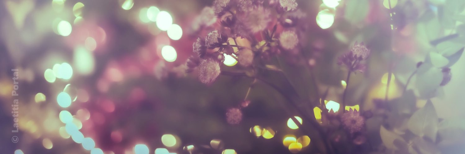 anomee's profile banner image