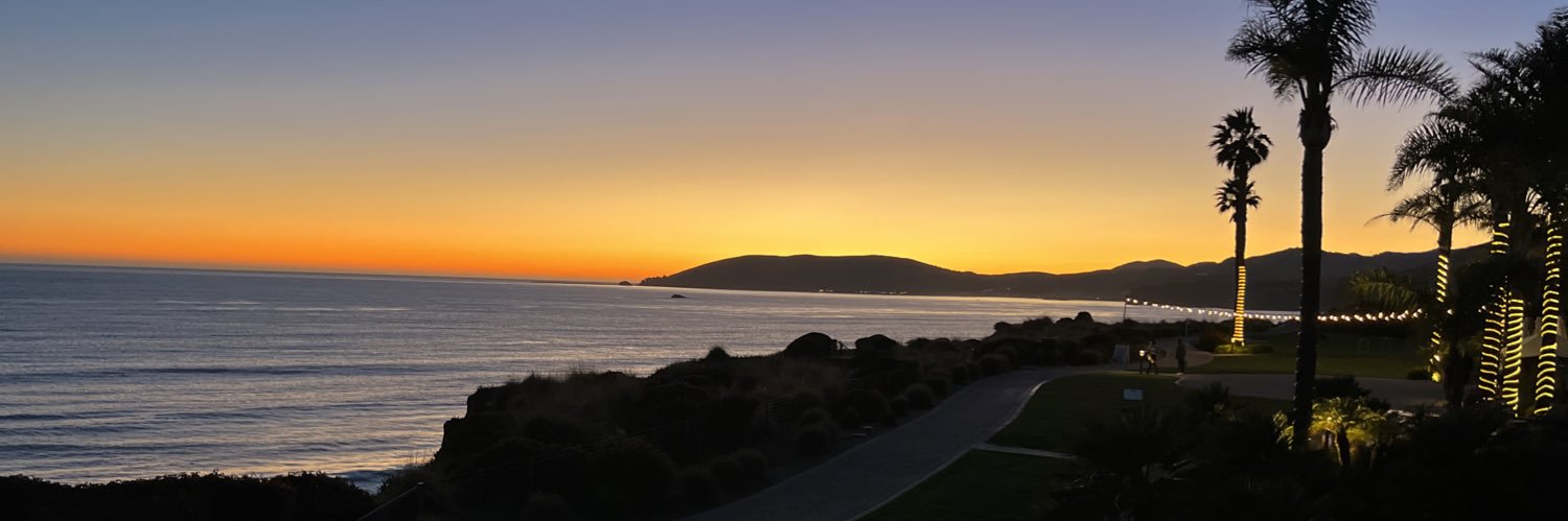 Andrea McCook banner