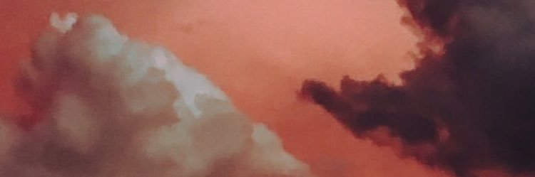 cece_mcdermott's profile banner image