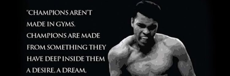 Adam Johnston banner