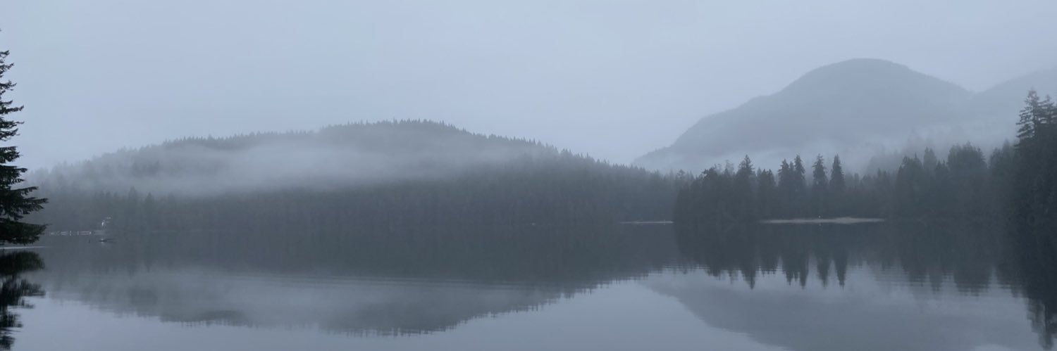 Tammy Dewar Mackay banner