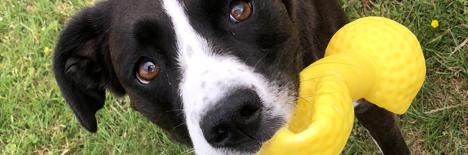 RossiterAisling's profile banner image