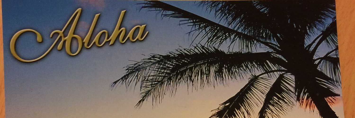 dancinginhawaii's profile banner image
