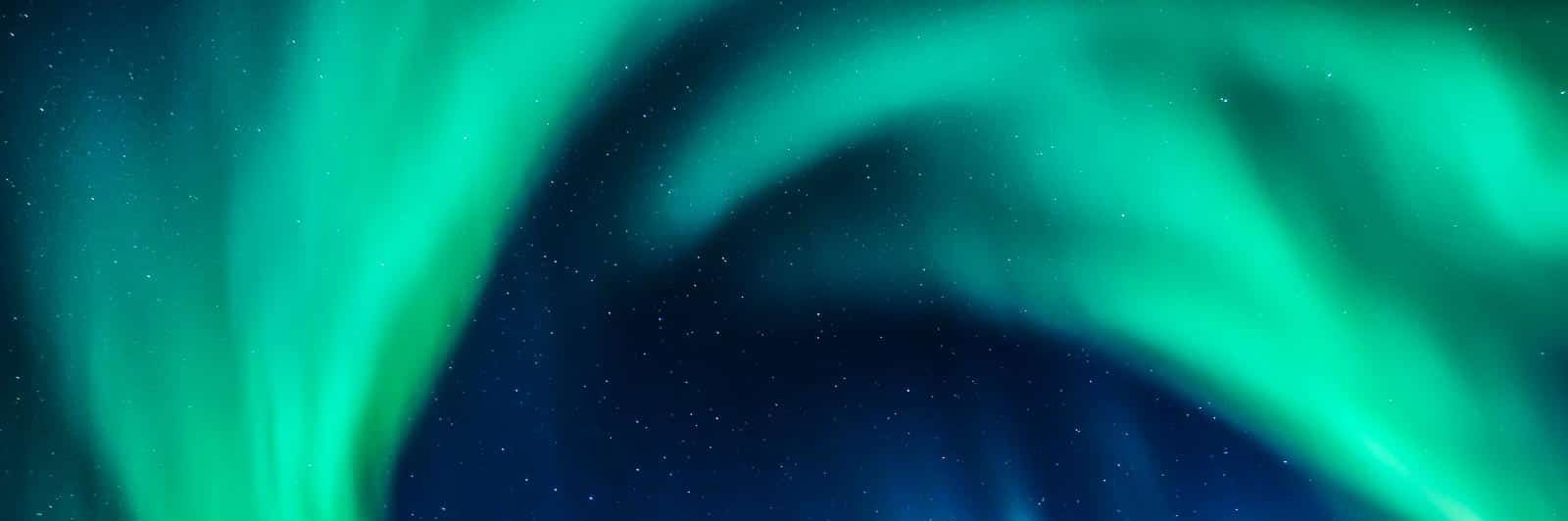 Silvi_Vio's profile banner image