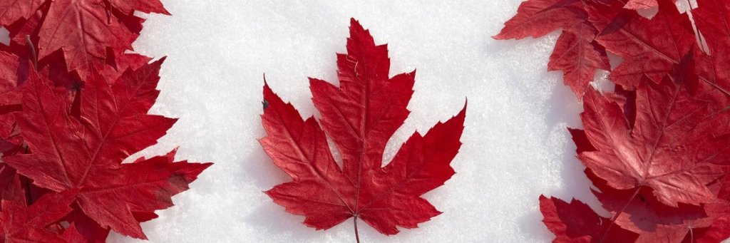 paulfdegner's profile banner image