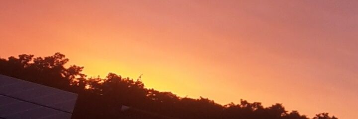 kathi_pohl's profile banner image