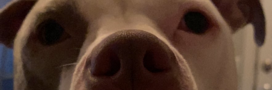 wilkinsty21's profile banner image