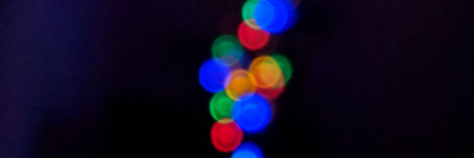 Paula Sanz-Leon banner