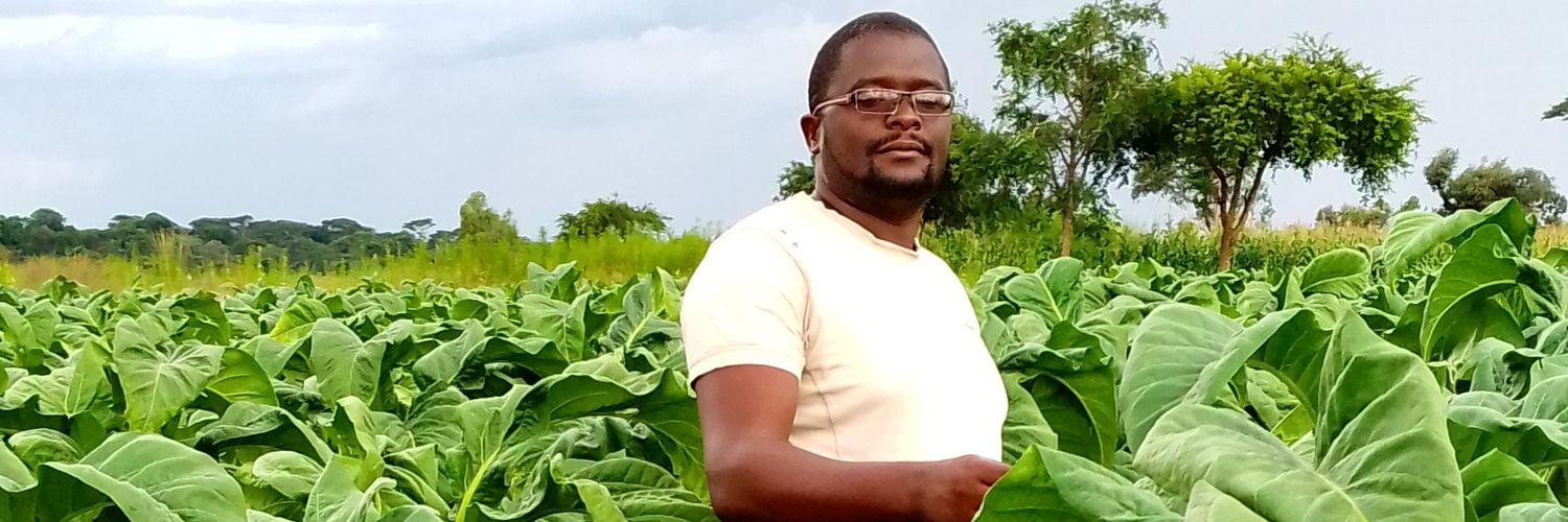 Matemai Mbano banner