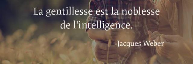 Clara_springuel banner