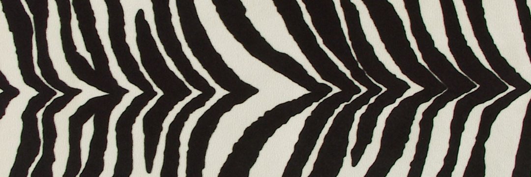 🦓 Anja banner