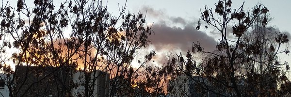 PHsansE Profile Banner