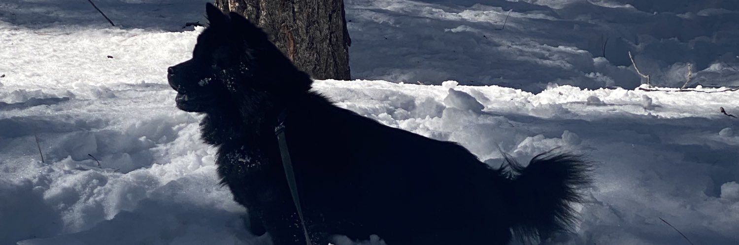 RickyBRUH's profile banner image