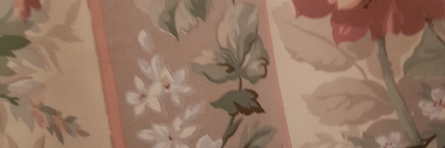 ApolloSteedUK's profile banner image