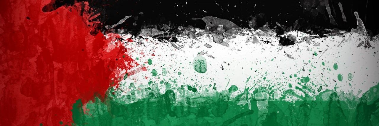 Dani 🇵🇸 banner