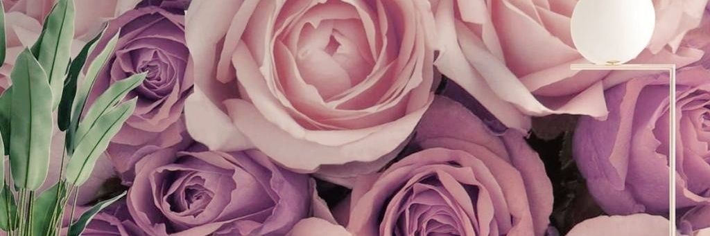 moloko_mo's profile banner image