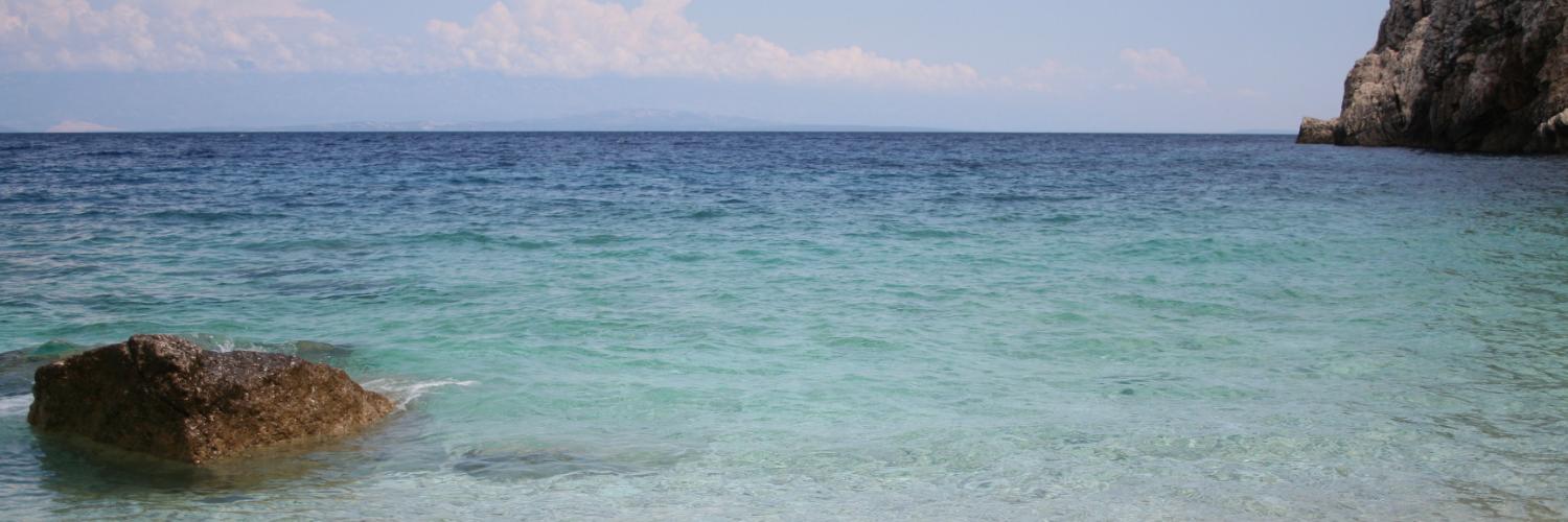fede_fla's profile banner image