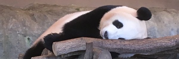 uta09141 Profile Banner