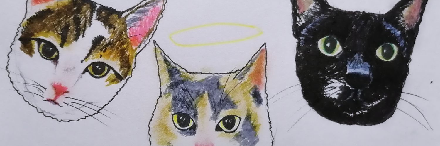 indiaalfag's profile banner image