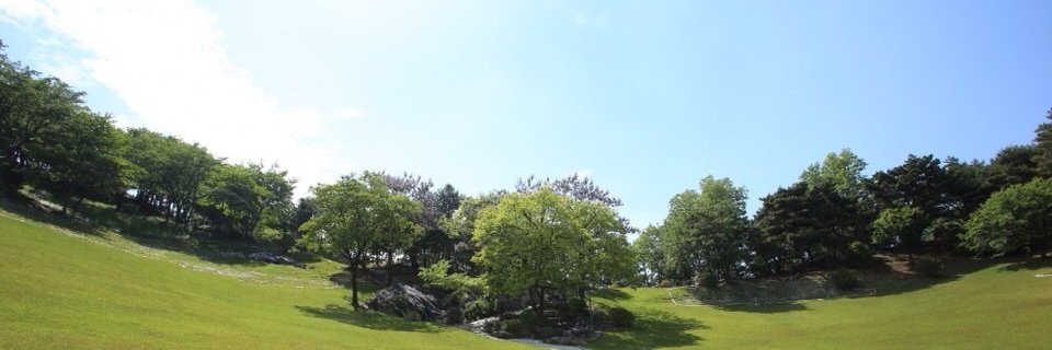 TTNT0601's profile banner image