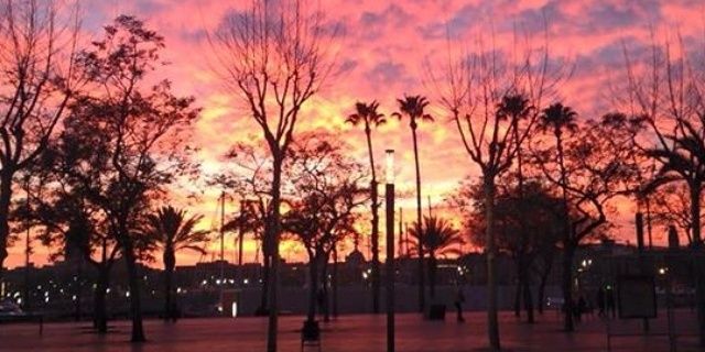 erikajimenez052's profile banner image