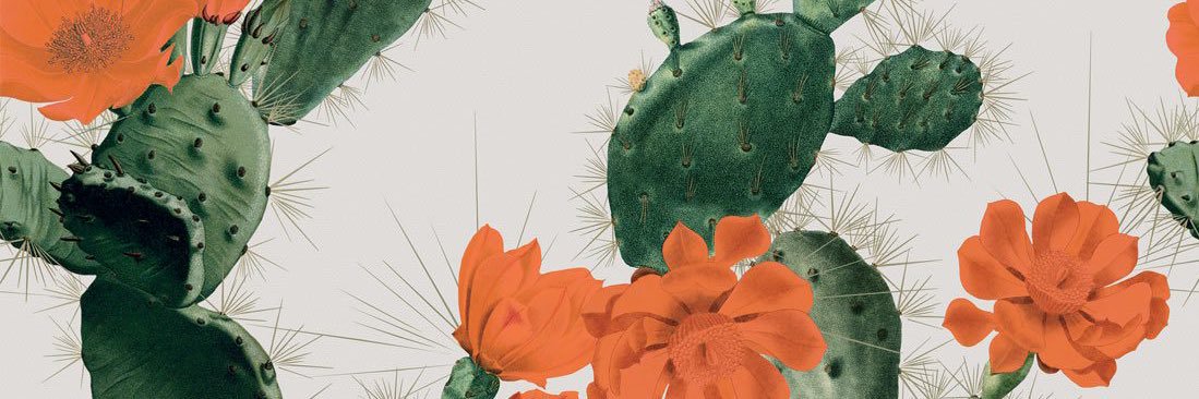 alimwest2001's profile banner image