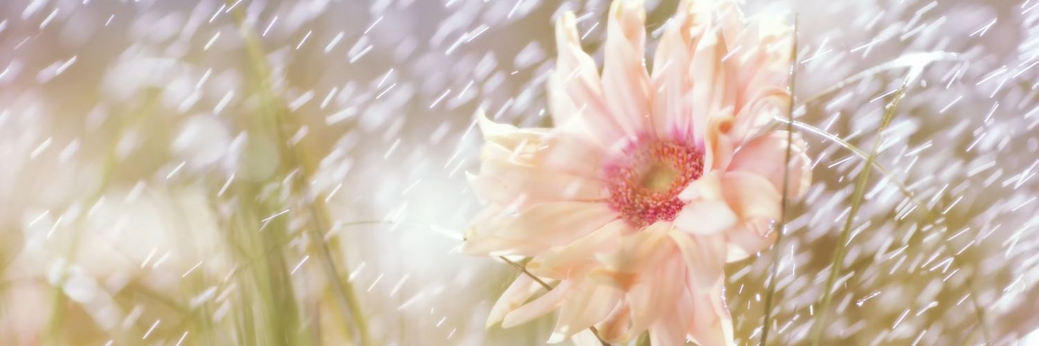 Heyyynuhh's profile banner image