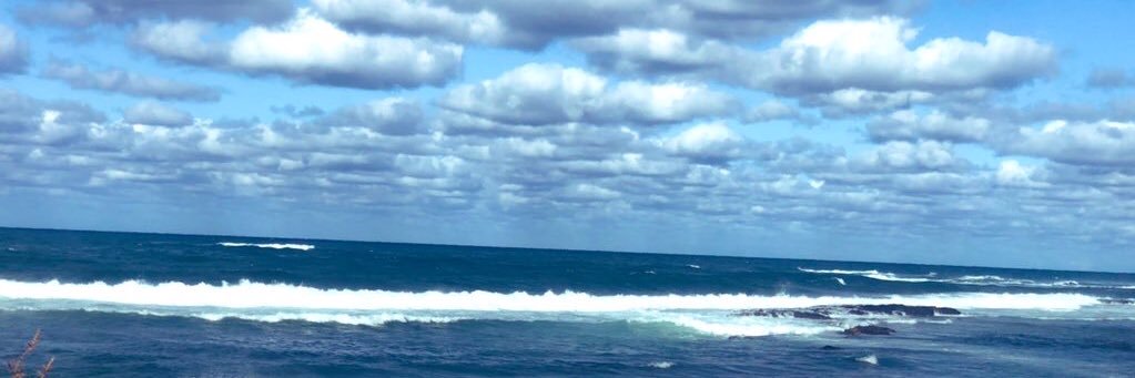bin_zayed01's profile banner image