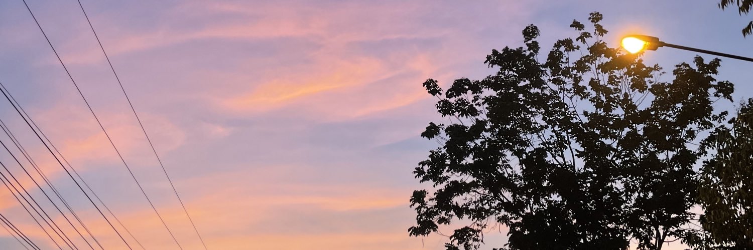 destiny* ♡ 🌸 banner