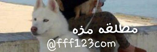 fff123com's profile banner image