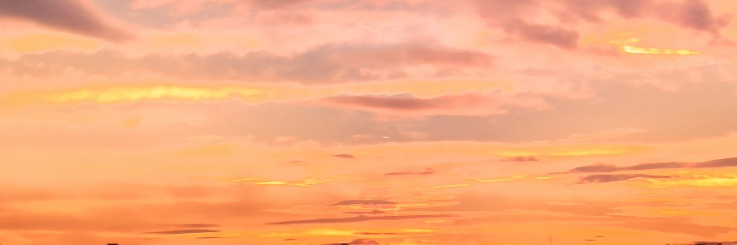 BNDCTRMS's profile banner image