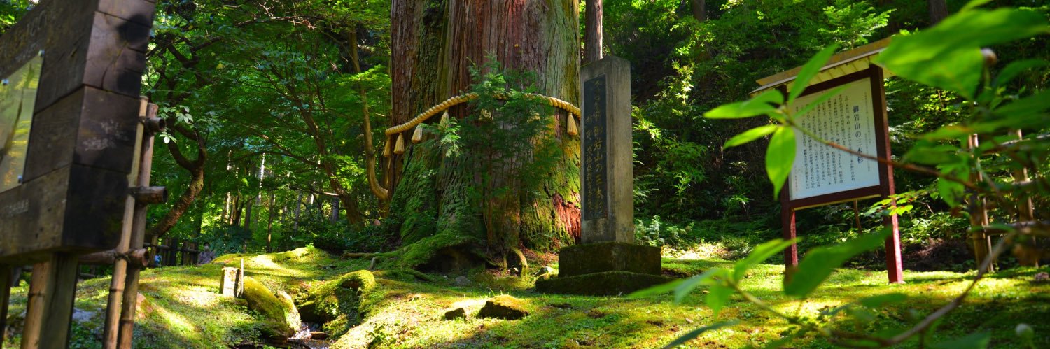 MeeeL(みる) banner