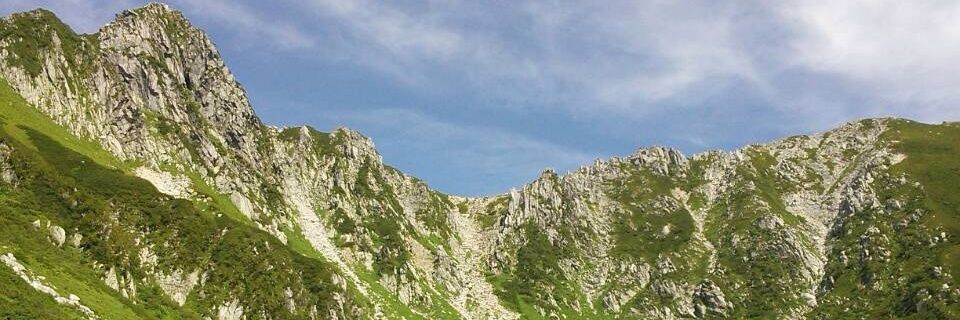 KiKi☘️163.5cm banner