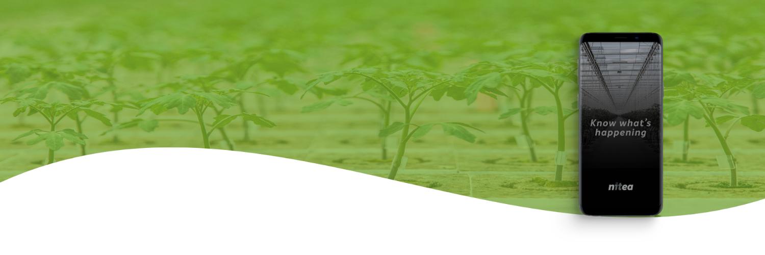 Nitea IT Solutions banner