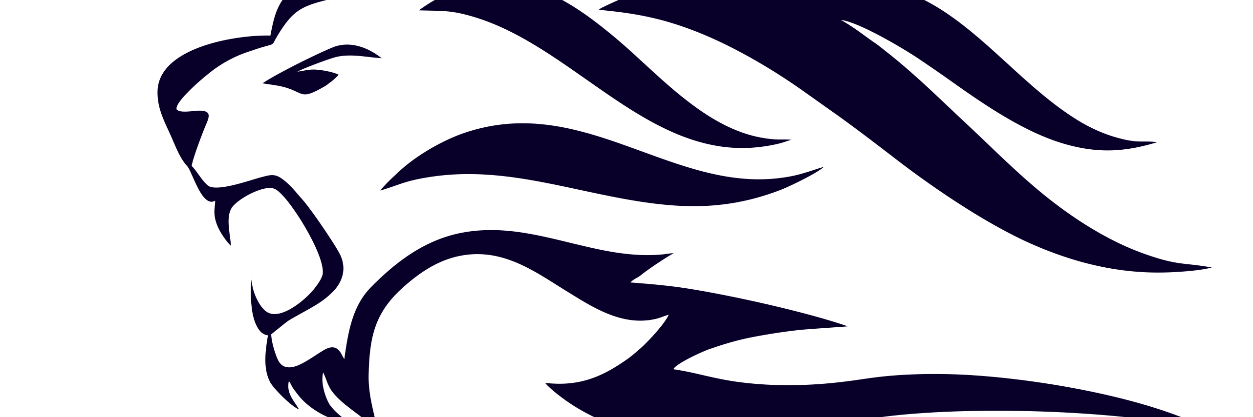 CSCS Athletics banner