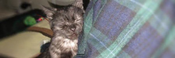 3oj8g Profile Banner