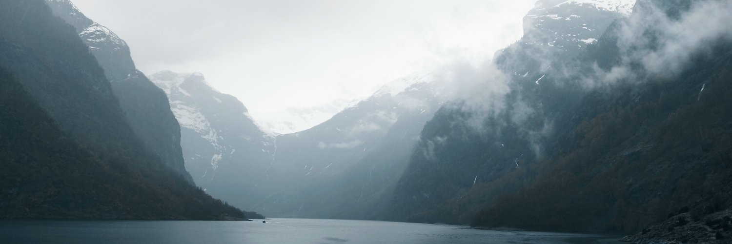 LineReis's profile banner image