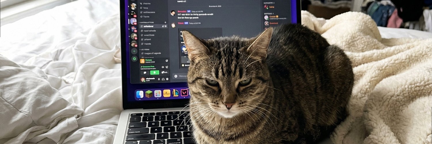 sofiawind44's profile banner image