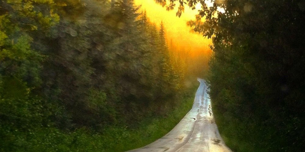 cimiks's profile banner image