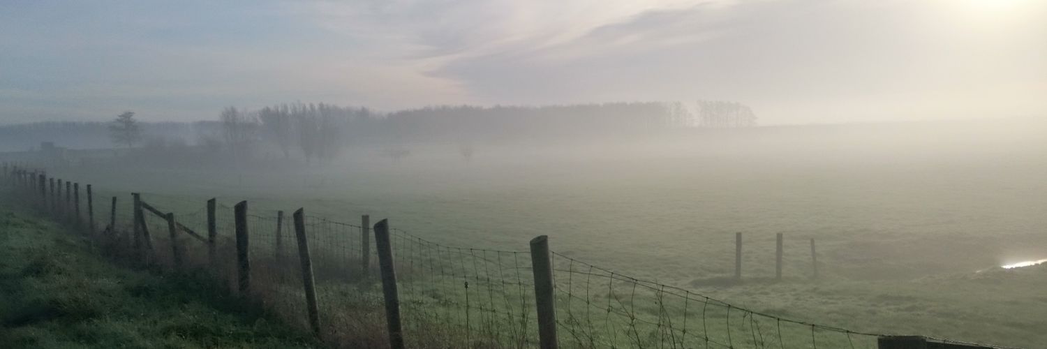 AlexRoessen's profile banner image