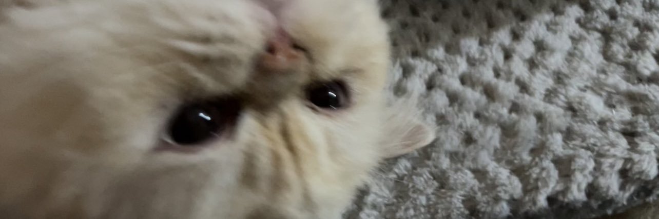 altwitah's profile banner image