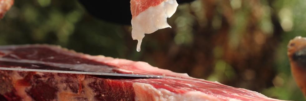 Hamjamon.com banner