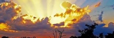 stevestevo12's profile banner image