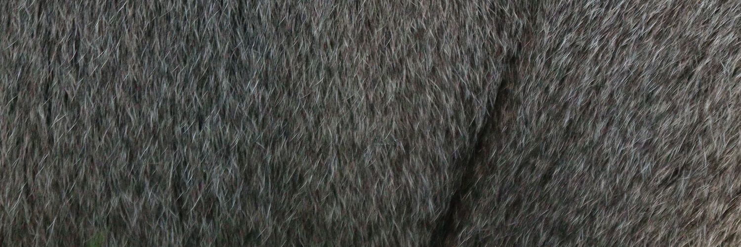 deasasyf's profile banner image