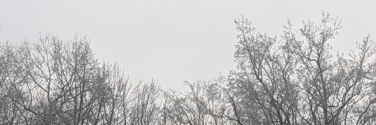 Bidoky's profile banner image