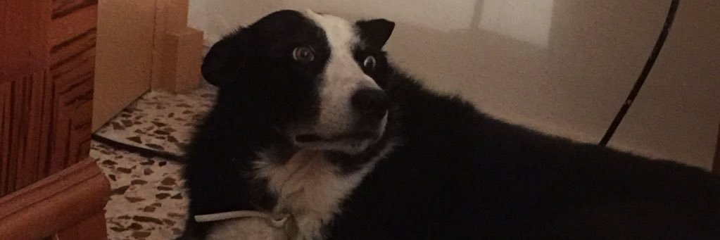 ChrisAdshead64's profile banner image
