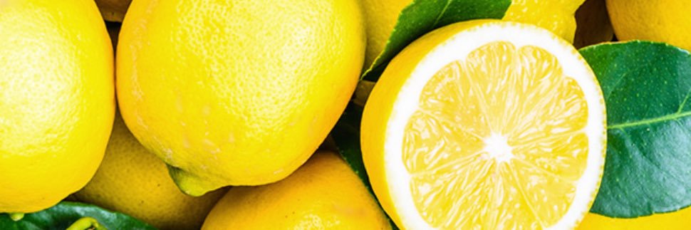 tokoroen's profile banner image