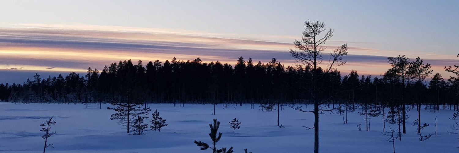 HannaVCarlsson's profile banner image