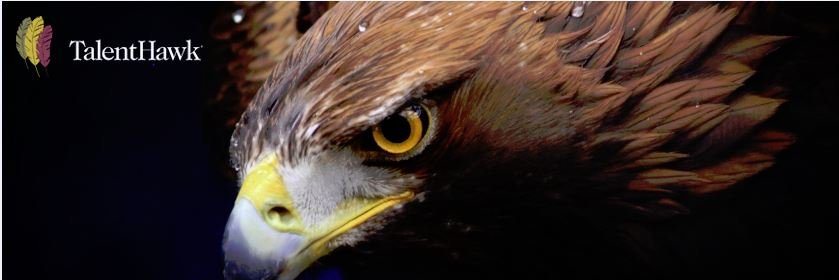 TalentHawk banner